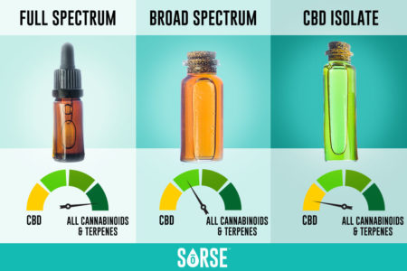 Full Spectrum, Broad Spectrum, And Isolate CBD: What’s The Difference ...