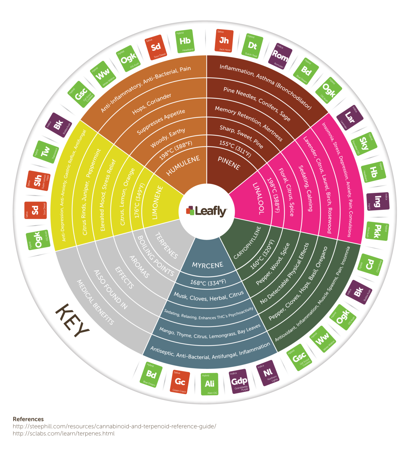 Terpenes Chart: A Natural Guide To Aromas And Benefits