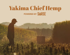 SōRSE Enters Brewing Industry in Partnership with Yakima Chief Hops