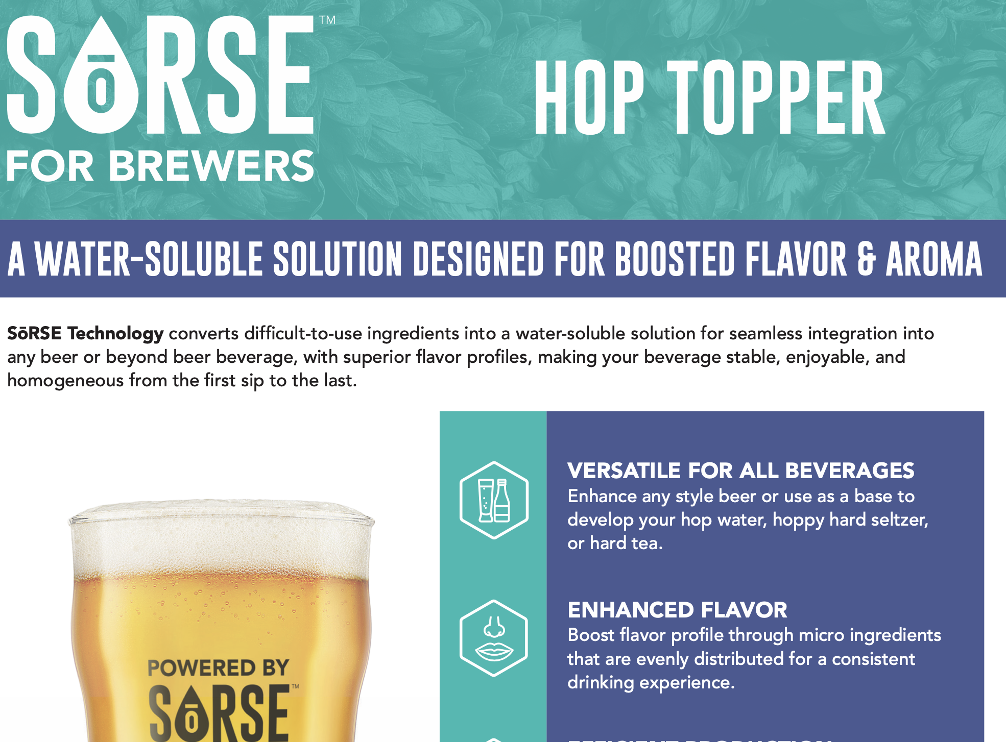 SōRSE Brewery – Hop Topper