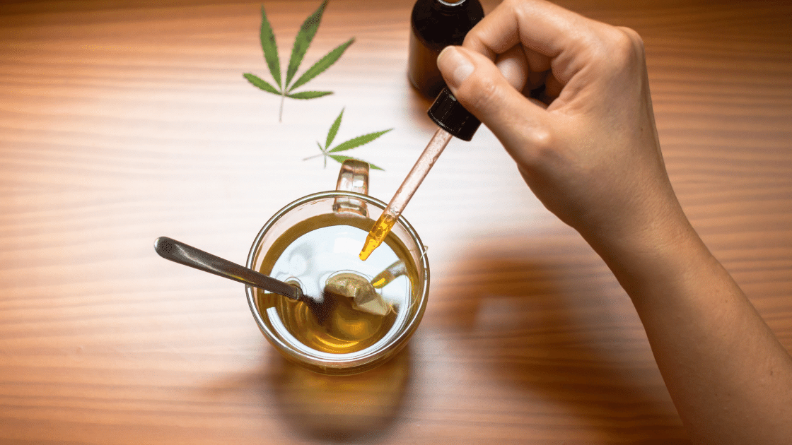 cbd drink bioavailability