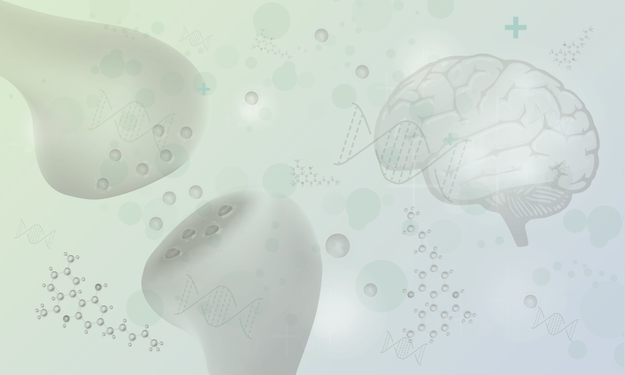 endocannabinoid system elements