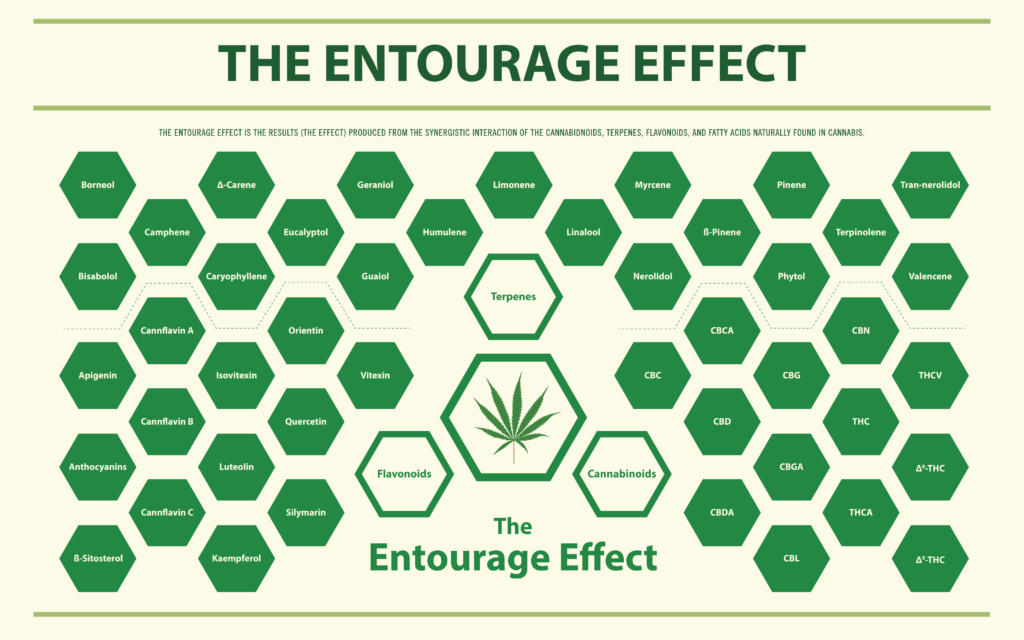 entourage effect graph