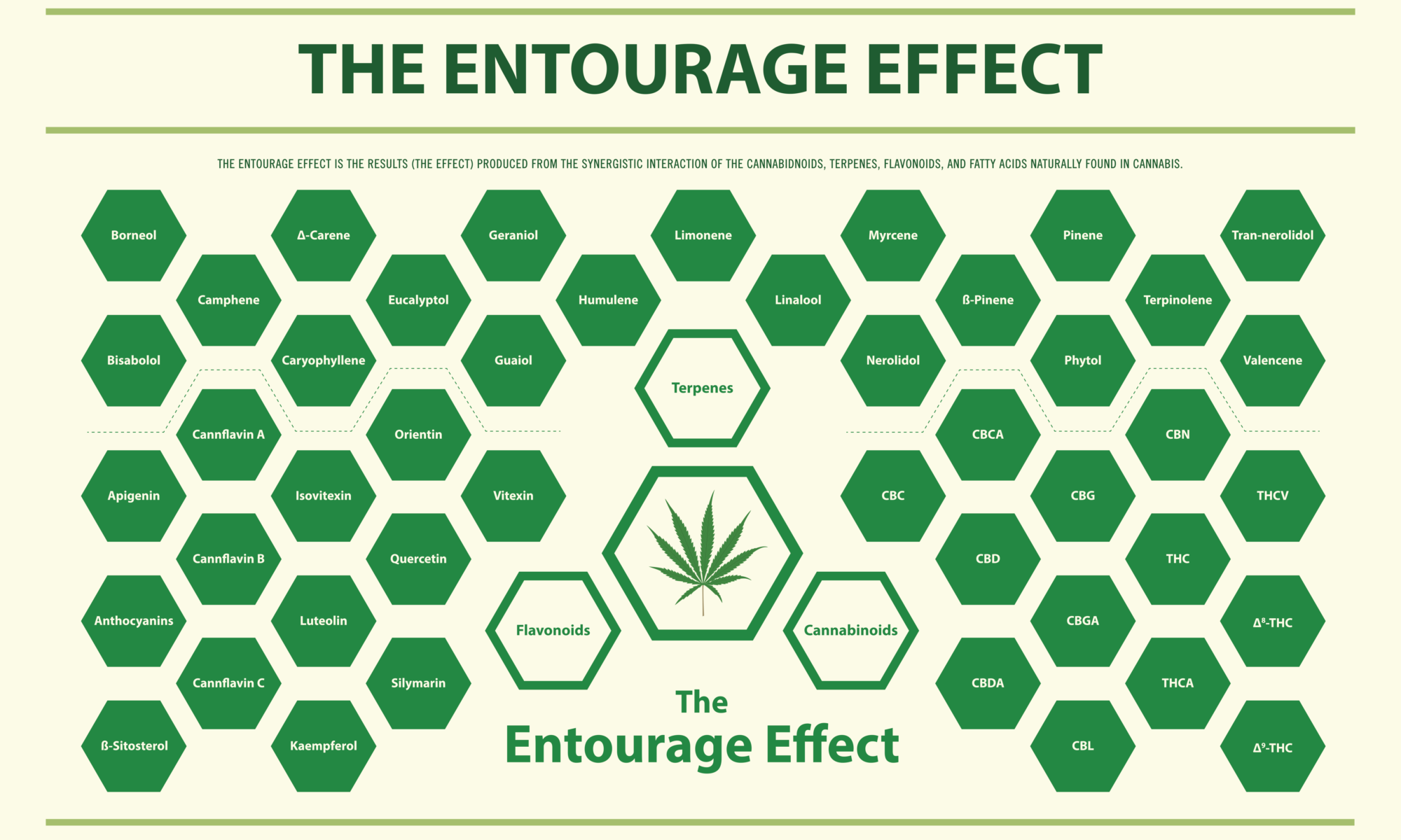 entourage effect graph
