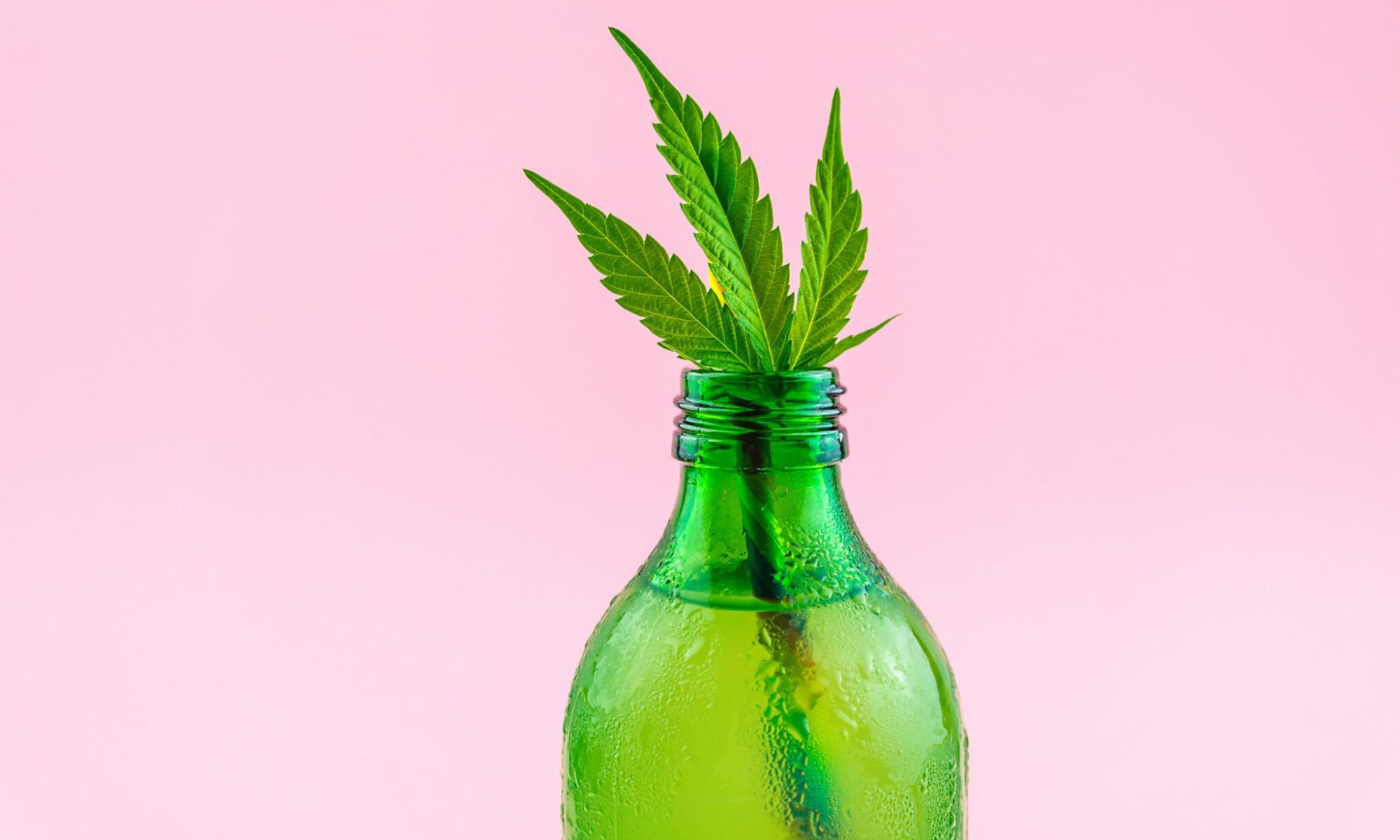 cannabis beverage